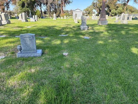 Meta Braunfeld’s grave (a small marker in the lawn), Mount Hope Cemetery, San Diego.