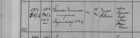 Hajdúdorog civil register, death no. 238, 3 October 1913: Emánuel (Mendel) Szender, 88, of independent means, house 872, husband of Katalin Engel — parents “the late Lajos Szender”
