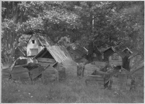 Stolin, Dubrovickaja Street and the Jewish cemetery, photographed by Stanisław Bochnig in 1929.