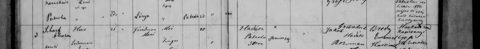 Pátroha Jewish marriage register, 1886, entry 4: Jakab Gut, merchant of Nagykároly, marries Eszti Rozman, 19, daughter of “the late Samuel” and Sára Király — a sister of Betti Glüc