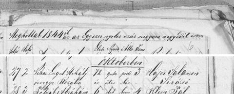 Makó Jewish deaths 1844, entry no. 27, 2 Oct 1844: “Néhai Engel Mihály özvegye Rozália”, aged 72 — an Engel widow of Makó, not Gitel.