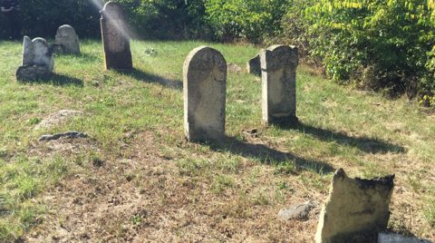 The Jewish cemetery of Véke (Vojka), home of the Edeles family: seven stones of 1902–1909 are all that survive, in woodland above the vineyards.