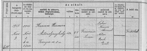 Sátoraljaújhely civil death 1915 no.691, Krausz Herman, 69, Tompa u. 8, wife Freiman Lina; parents néhai Krausz Sámuel, néhai Reich Eszti