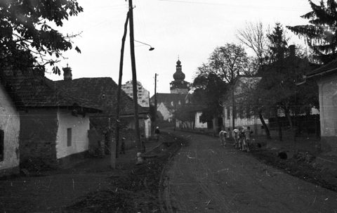 Tolcsva, village street with the Roman Catholic church behind, 1958; the Tolcsva Grünwalds are possible kin only.