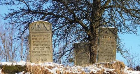 The small Jewish section of the Kovácsvágás cemetery, where Wolf (Aron Wolf) Reich, d. 1864, was presumably buried; the stones shown are later and his is not identified.