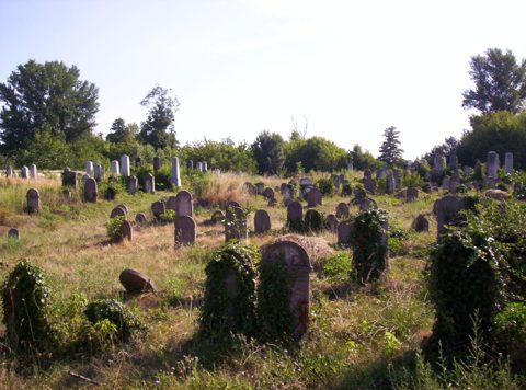 The old Jewish cemetery of Pápa (Veszprémi út 27), burials 1749–c.1898. This is where R’ Chanoch Glück (d. Pápa after 1828), Liba, and their son R’ Nathan (d. 1891) would lie. No s