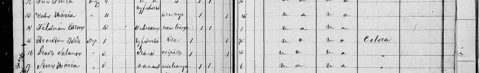 Hajdúnánás Jewish deaths, 1873, no. 15: Izsák Arenstein, born Újfehértó, widower, died 1 September 1873 aged 75 — a possible brother of Eszti Ornstein Glück.