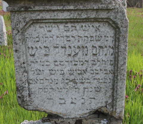 Nagykálló Jewish cemetery: the gravestone of R’ Menachem Mendel Fisch, ’son of the famous rabbi R’ Avraham Abish Fisch’ — a grandson of R’ Yaakov Fisch of Kalló (the grandfather of